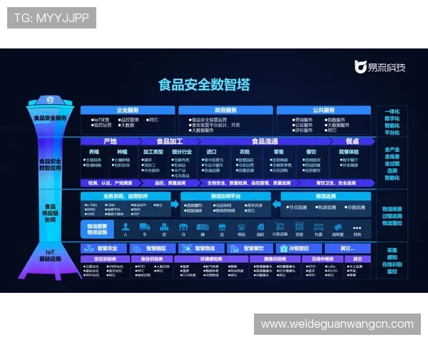 昇得源如何推动网络游戏行业的数字化转型与技术升级