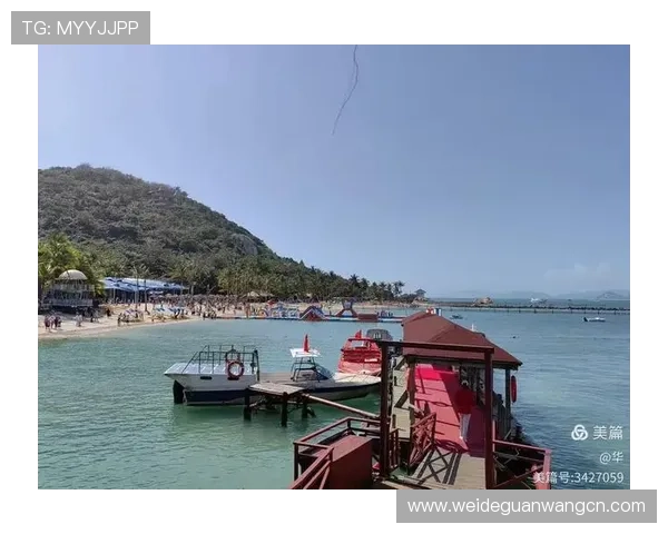 海星体育娱乐官网入口2024年最新版本登录入口全面介绍